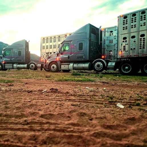 Young and dedicated, gunning to be your Top driver
